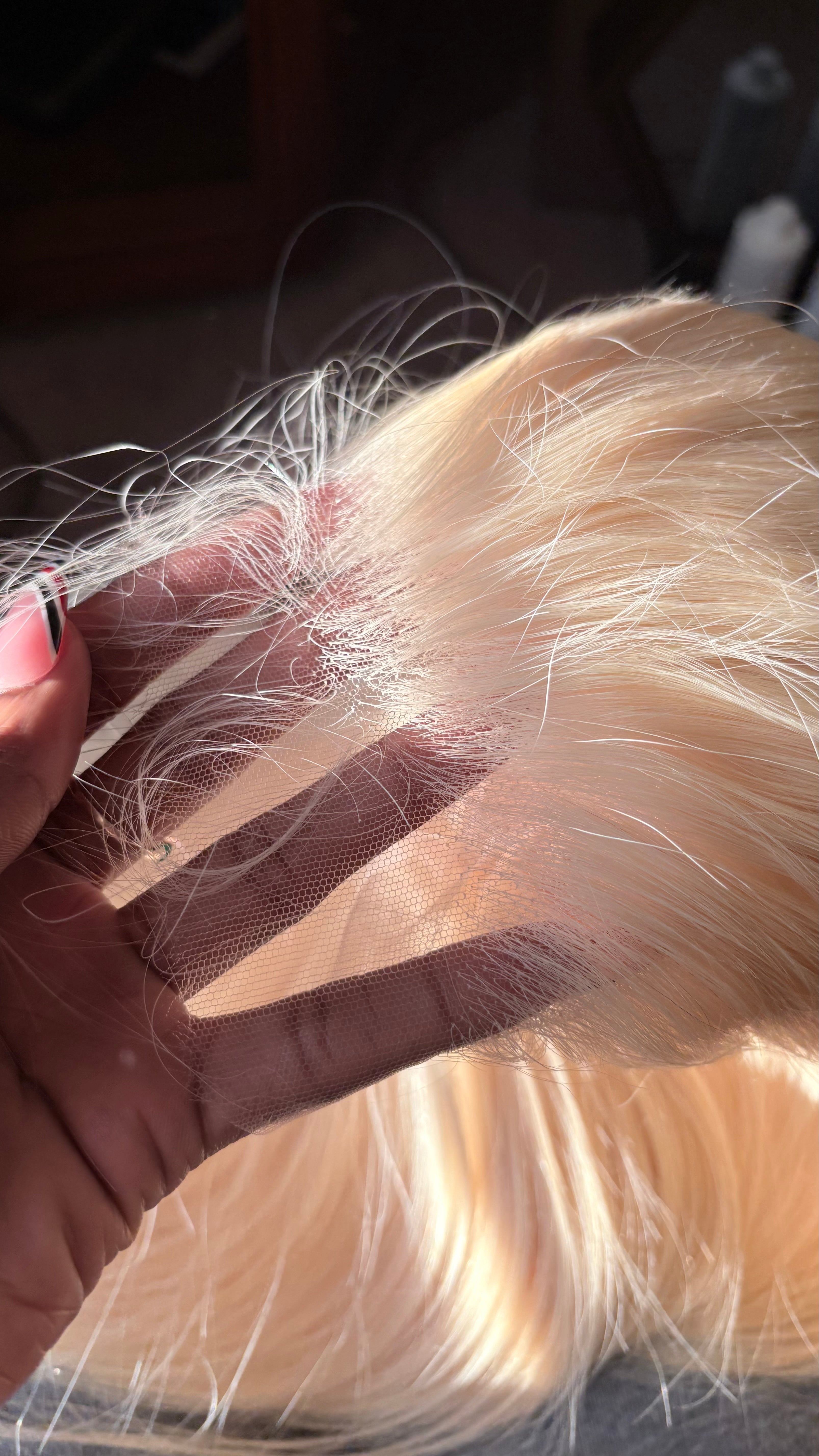 613 Blonde HD Lace Wigs (13X6)